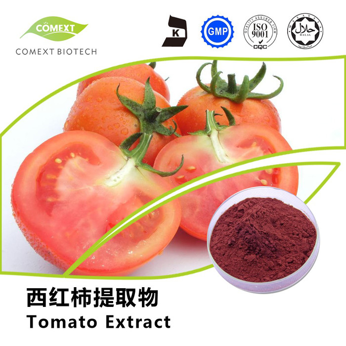 现货供应 番茄红素10%HPLC 西红柿提取物