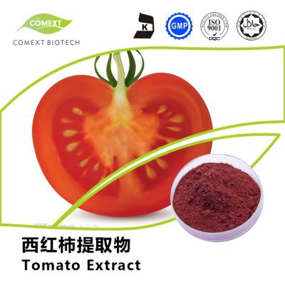 真实厂家供应 西红柿提取物 番茄红素 价格优惠