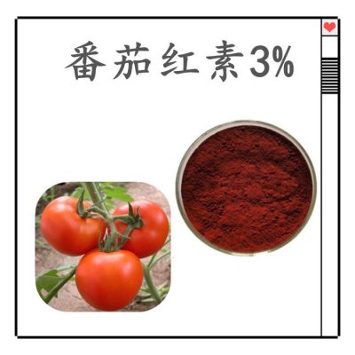 番茄红素1%  植提厂家 质量稳定 可定制 番茄提取物