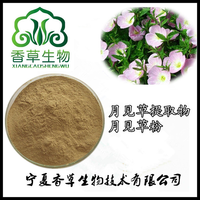 香草生物供应月见草提取物20:1 月见草粉  月见草浓缩粉现货图1