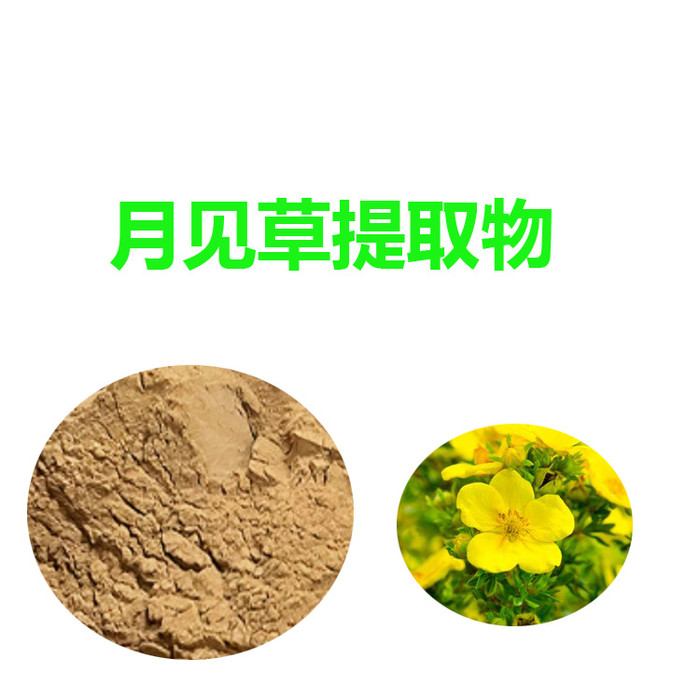 甘肃斯诺特  月见草提取物   量大从优  月见草粉图1