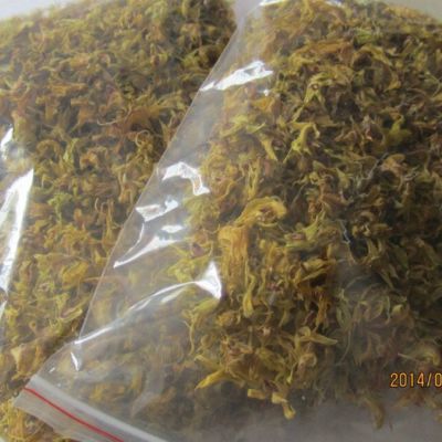 供应丽源石斛铁皮石斛干花