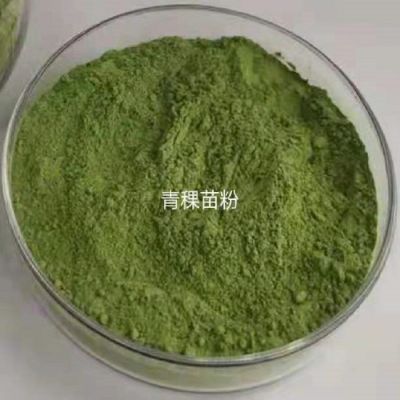 甘肃斯诺特   铁皮石斛粉  免费寄样品      铁皮石斛浸膏粉