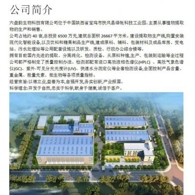 黄芪浓缩粉 水溶 六盘韵 可定制 全国包邮