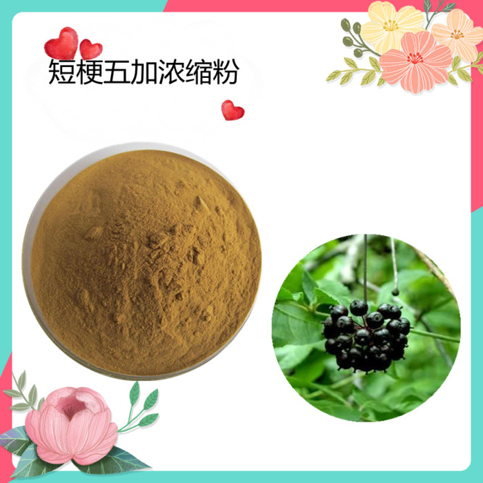 黄芪浸膏粉   水溶  可定制   斯诺特生物图1