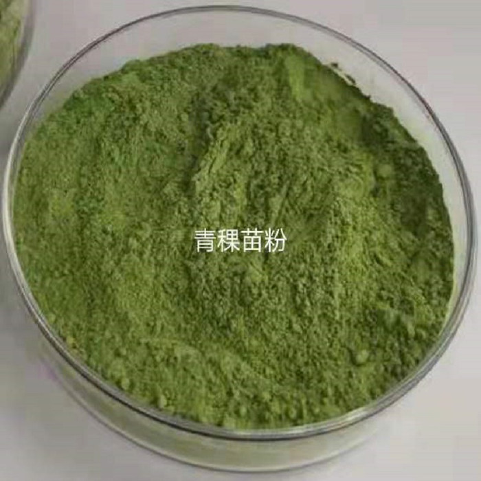 甘肃斯诺特  黄芪提取物  量大从优    环黄芪醇