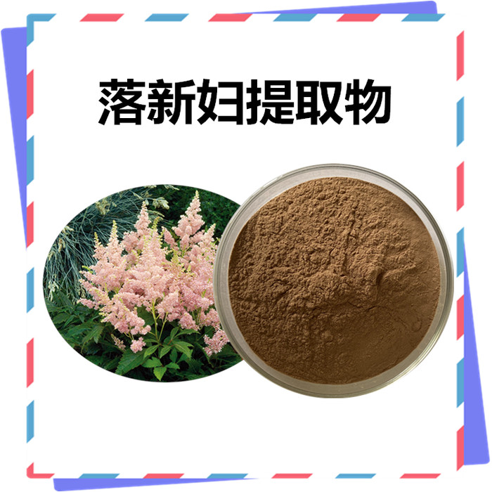 斯诺特 黄芪提取物  黄芪速溶粉   黄芪萃取物图1
