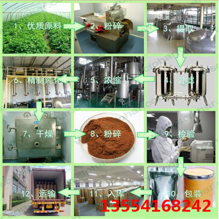 黄芪甲苷 10%原料厂家83207-58-3