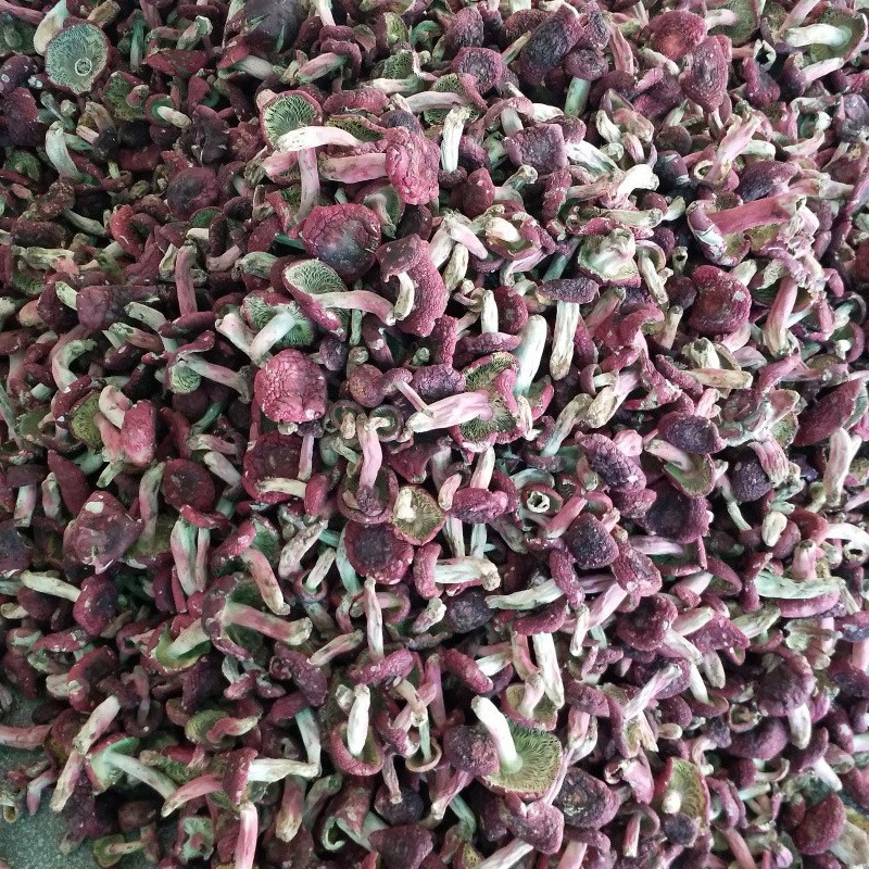 三明野生红菇档菇 云南红菇袋装500g批发 干货菌类批发供应图2