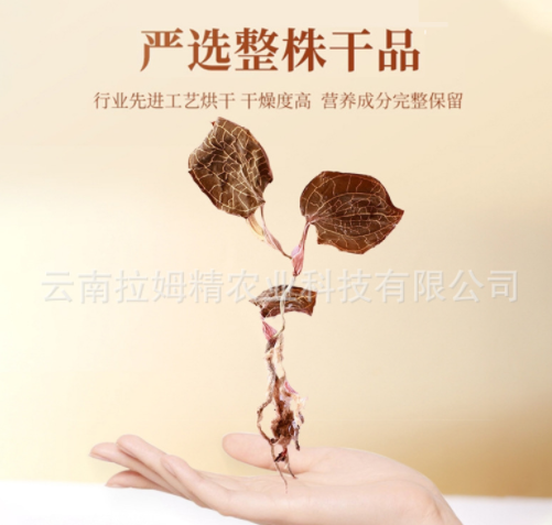 金线莲干货金线莲干品干净无碎煮水煲汤散装产地大货批发代发图4