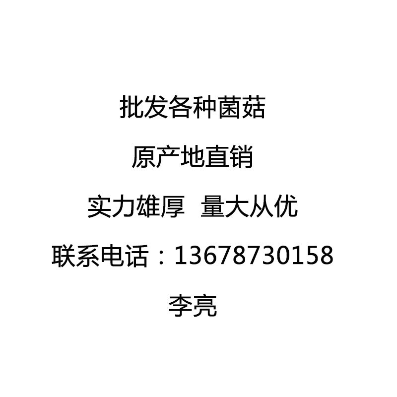 云南特产 大量供应 剪脚羊肚菌 羊肚菌 羊肚菌干货图2