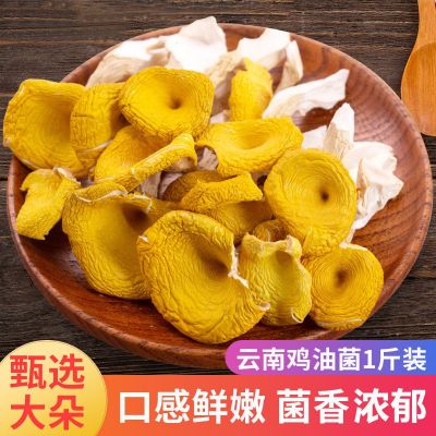 鸡油菌云南野生菌干货500g特产干蘑菇菌菇香菇菌类黄菇榆黄蘑黄丝