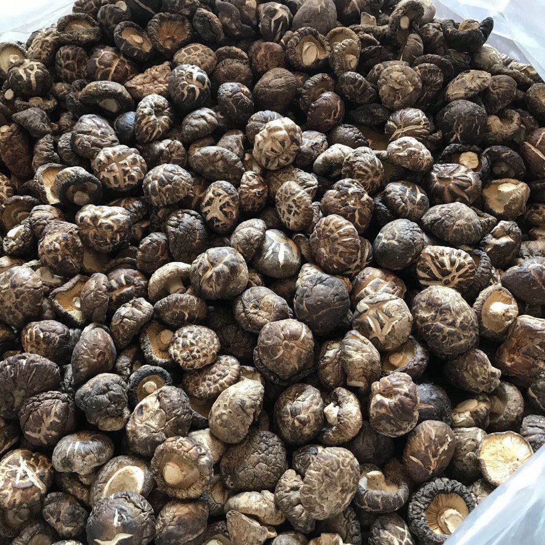 福建特产茶花菇干货批发500g2-3cm散装批发香菇干古田工厂直供图3