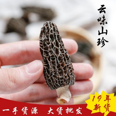 云南干羊肚菌2020年云南大个剪柄羊肚菌干货肉厚干净香味散装起批