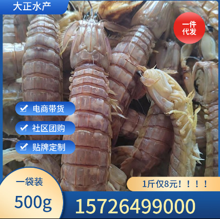 500g 冷冻皮皮虾活煮虾姑肉虾爬子鲜活熟冻火锅底料濑尿虾 琵琶虾