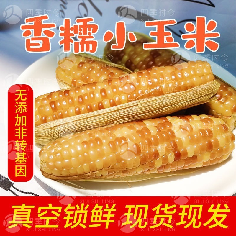 加工定制 云南香糯小玉米 营养代餐 早餐粗粮 嚼劲十足图4