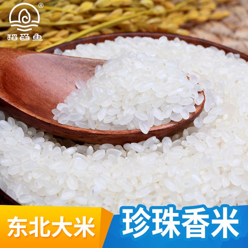 东北大米圆粒珍珠米新米黑龙江大米10斤大米批发当季新米图4