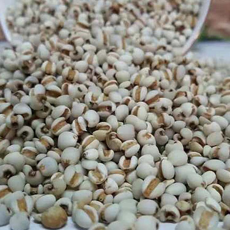 厂家批发八宝粥米原料 五谷现磨豆浆原料 五谷杂粮代餐粉图3