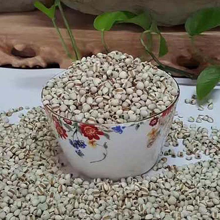 厂家批发八宝粥米原料 五谷现磨豆浆原料 五谷杂粮代餐粉图5