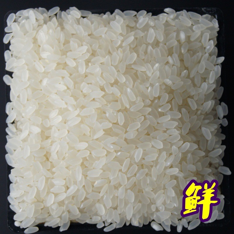 2021年新东北大米5kg长粒香米鸡西米散装大米厂家直批北国长芝香