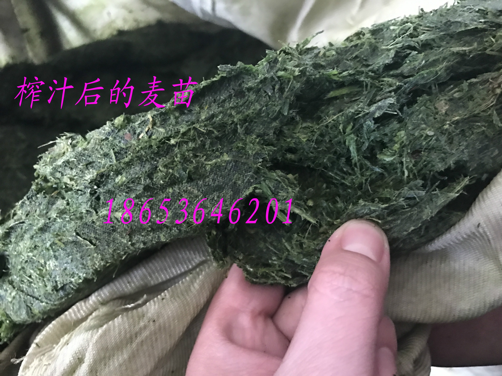压榨机-81