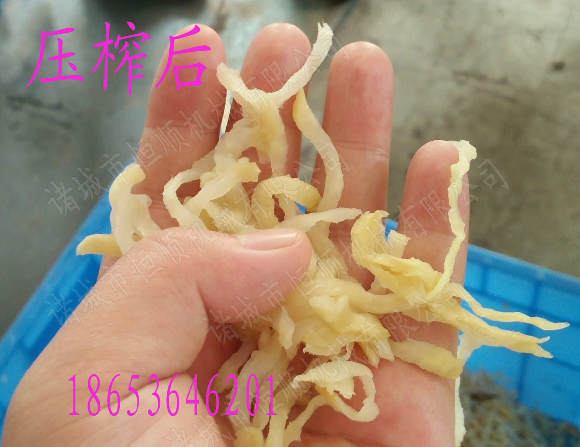 图片展示