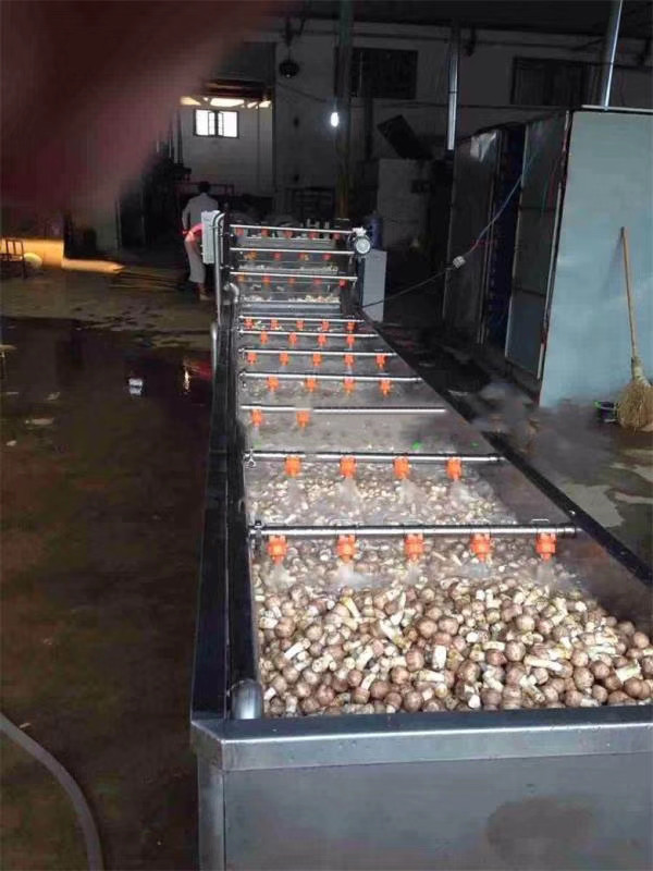 景翔牌青菜气泡清洗机 净菜清洗线 油菜清洗设备