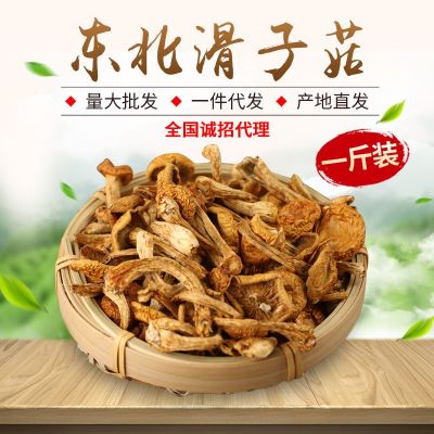 东北土特产滑子菇500g黑龙江农家自选干货食用菌散货蘑菇厂家批发
