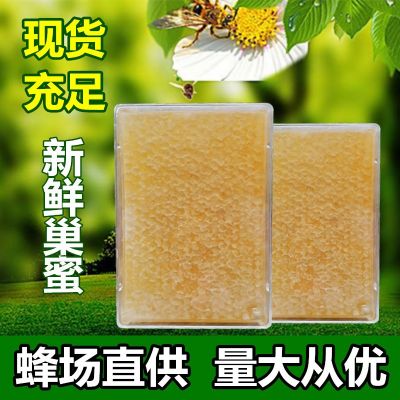 厂家批发蜂巢蜜500g盒装成熟巢蜜荆条蜜百花蜜洋槐蜜土蜂蜜蜂窝蜜