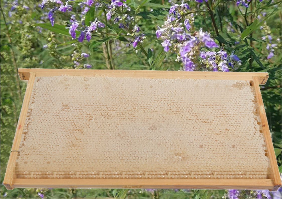 热卖蜂巢蜜 整箱批发蜜巢脾展会蜂蜜 封盖原框蜂巢蜜 带框蜂巢蜜