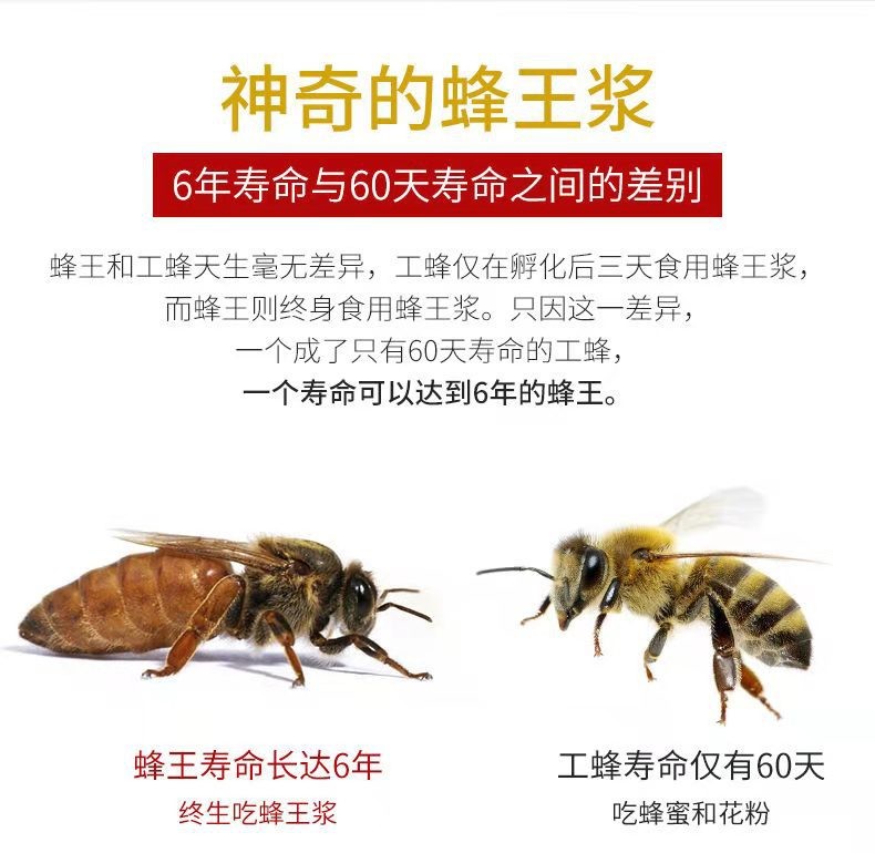 农家自产蜂黄浆 现货供应瓶装蜂王浆 500g新鲜云朵状蜂王乳图2