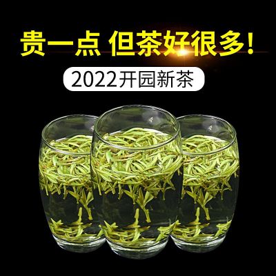 原产地2022新茶高山绿茶黄山毛峰 散装绿茶500g 一件代发云雾毛峰