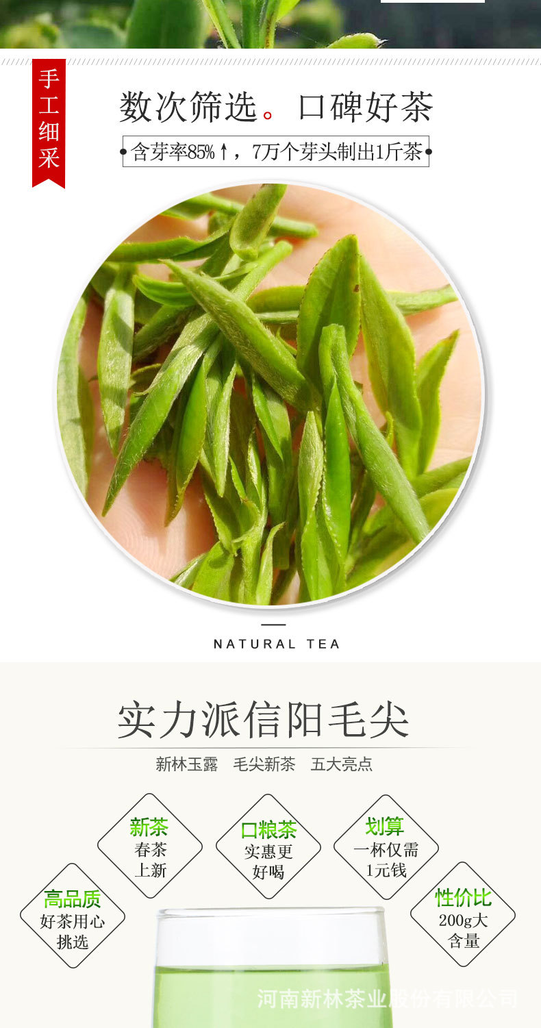 200g炒青茶_03.jpg