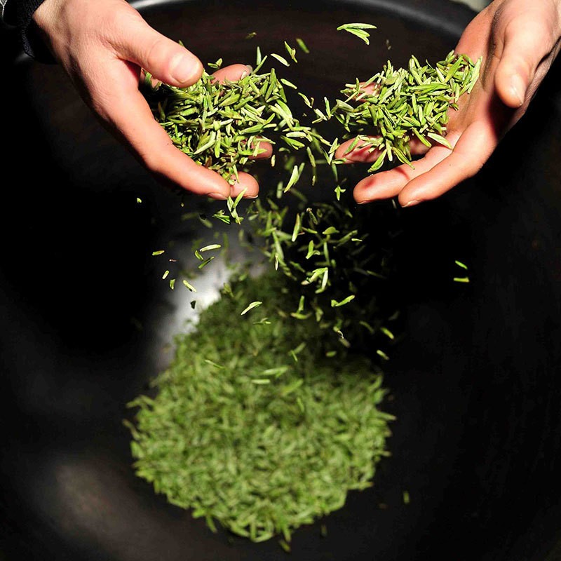 信阳毛尖茶50g 春茶批发绿茶信浉牌 礼品罐茶叶 罐装毛尖图4