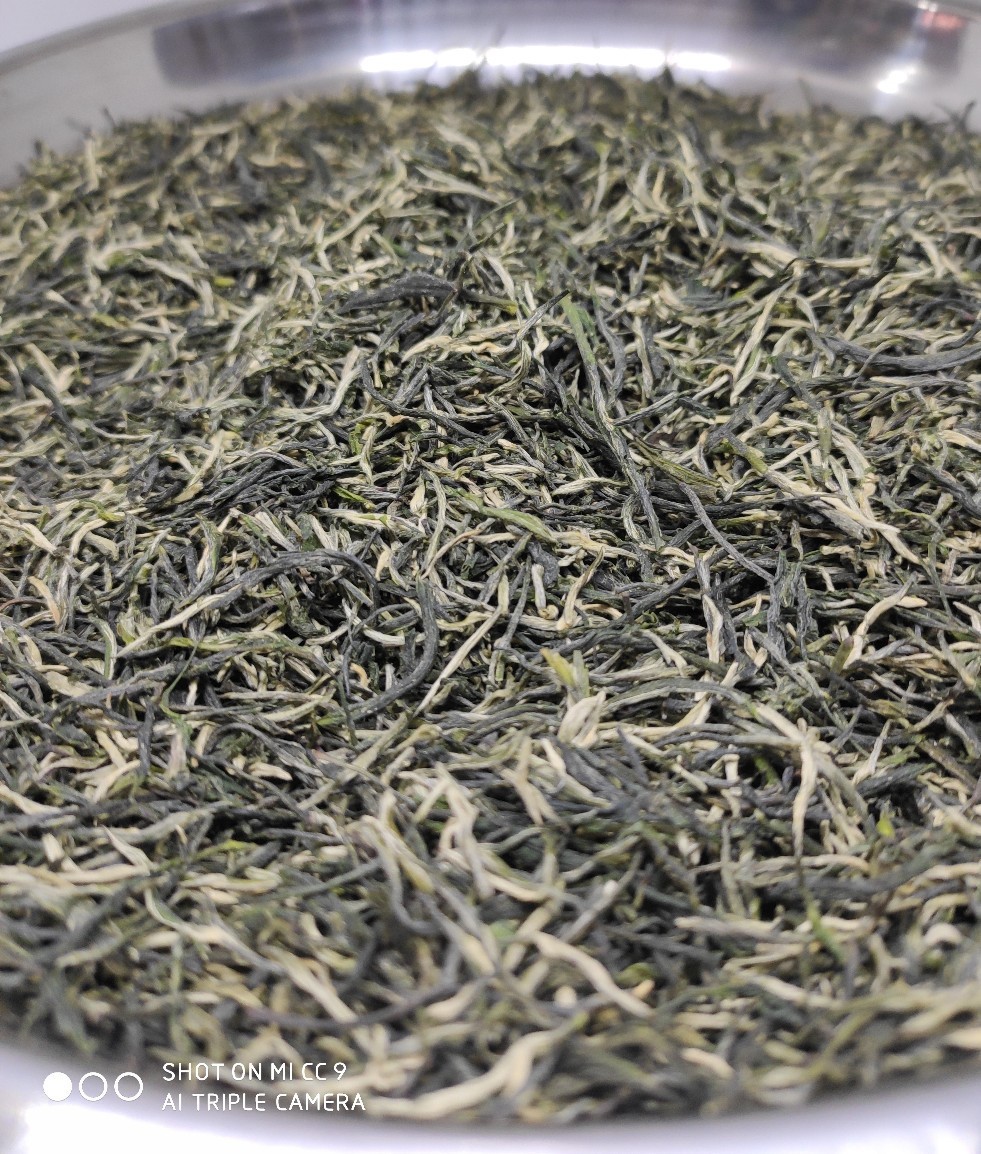 直供500克产地 毛尖绿茶量大从优图2