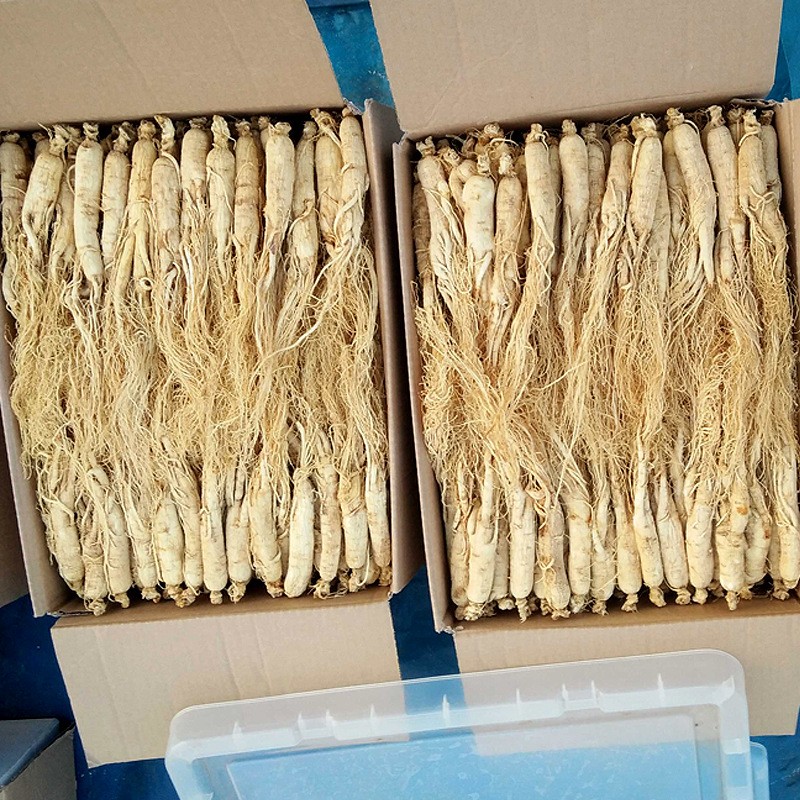 人参长白山白参500g25头生晒参全须白人参干人参整枝泡酒切片批发图3
