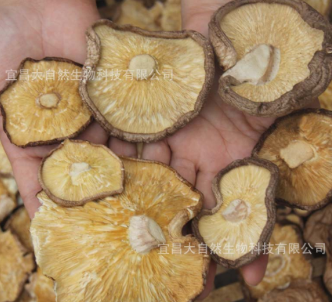 南北香菇干货活500g产地直批干香菇散装500g香菇大片薄片剪脚批发图3
