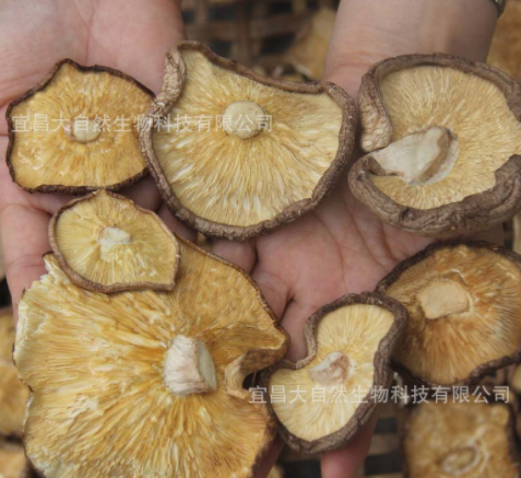 南北香菇干货活500g产地直批干香菇散装500g香菇大片薄片剪脚批发图2