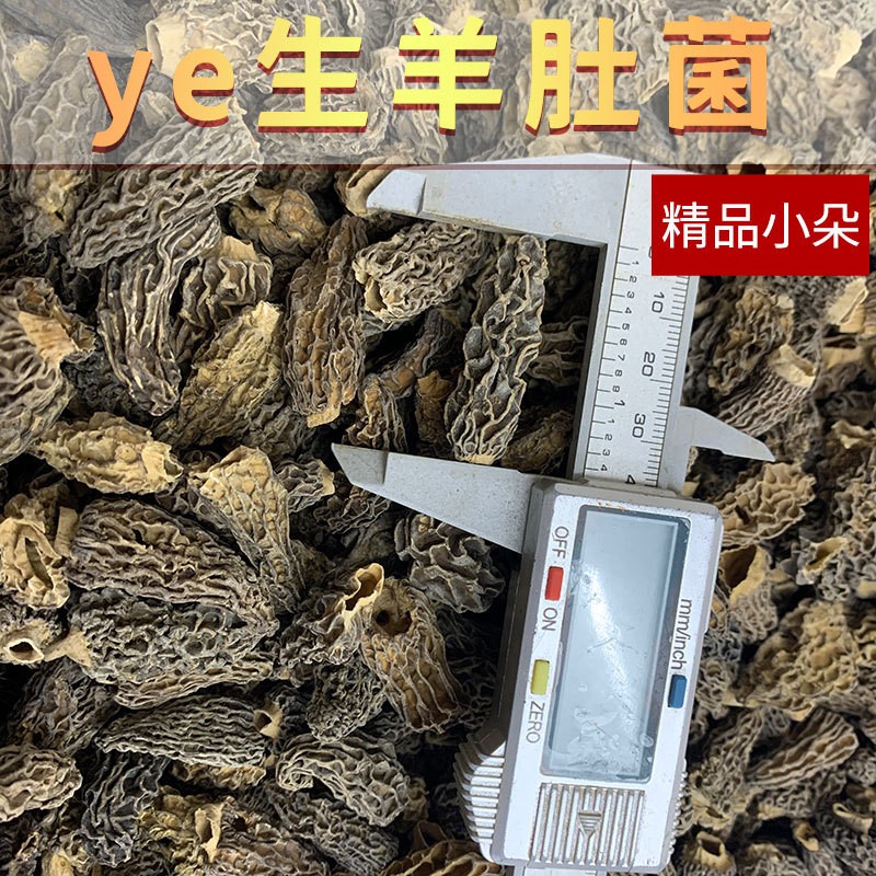 云南楷美ye生羊肚菌菌菇干货2~4cm全剪柄厚肉高原羊肚菌干货图2