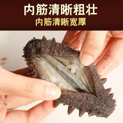 大连即食海参工厂批发冷冻辽刺参 现货供应 头数可选