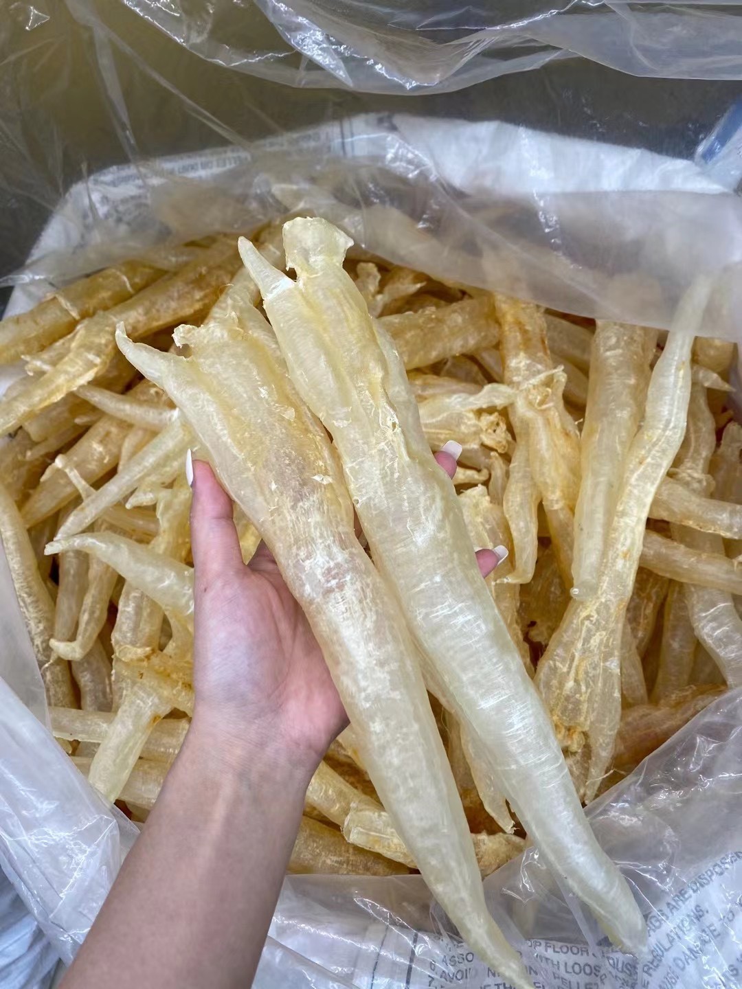 一德路北海阴阳胶筒鳘鱼胶鱼胶干货阴阳筒孕妇滋补品鱼肚产地直销图2