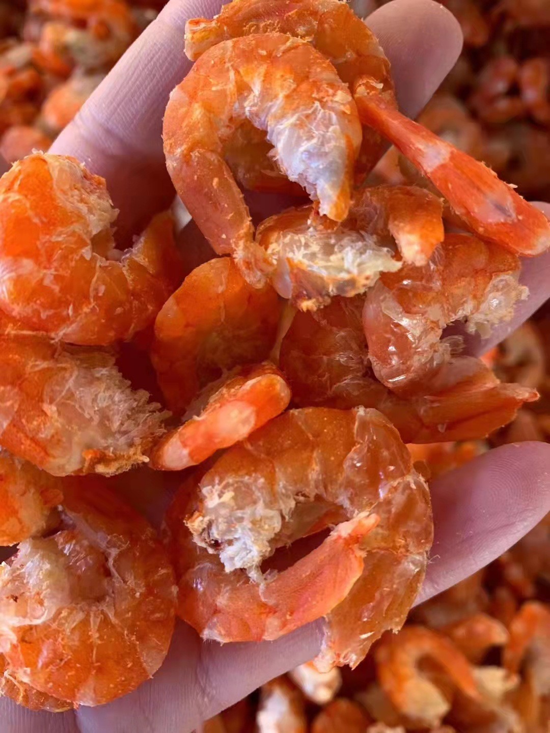 源头工厂金钩海米虾仁干货250g大虾干虾米虾皮开洋海鲜产品干货图2