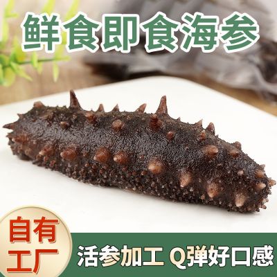 新瑞海参厂家现货国产即食海参批发500g水产海鲜鲜食海参开袋即食