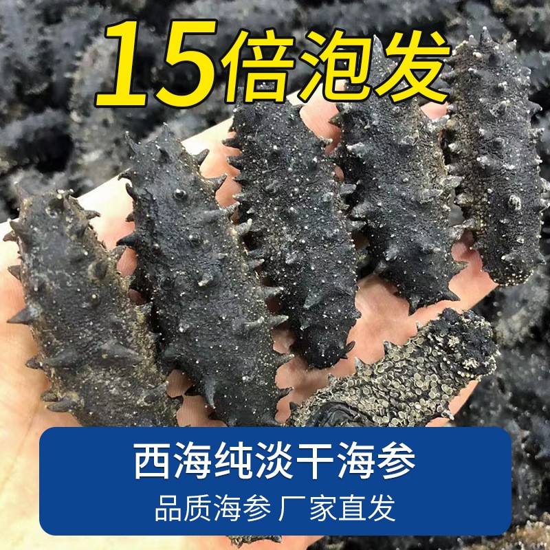 新瑞海参批发工厂西海纯淡干海参干货刺参15倍礼盒装代发