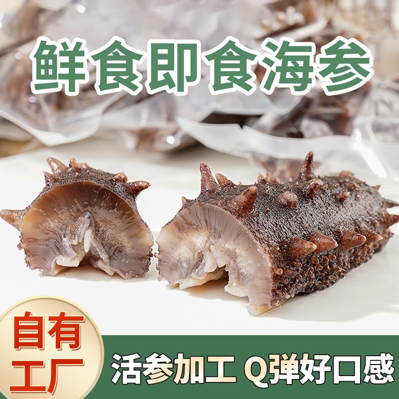 新瑞厂家开袋即食海参批发刺参500g水产海鲜国产鲜食即食海参批发