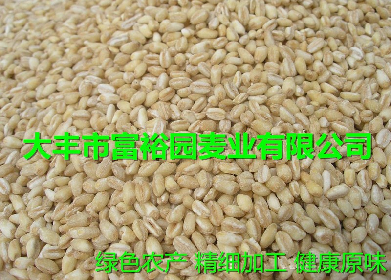 大麦仁粗粮特产大麦米