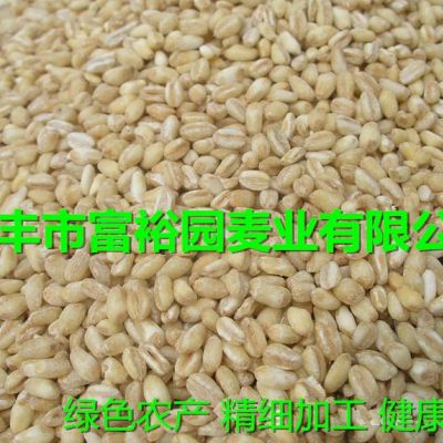 大麦仁粗粮特产大麦米