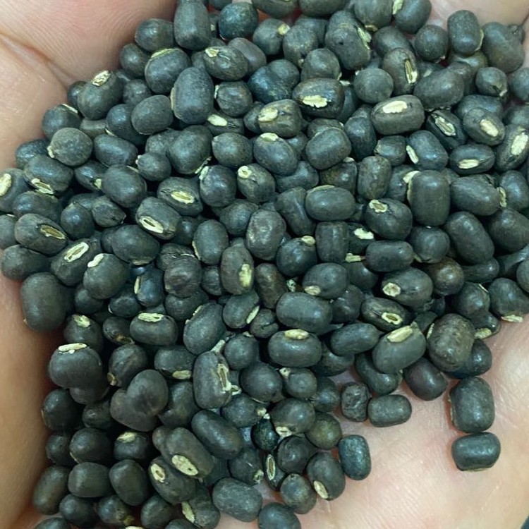 食泉坊赤小豆五谷杂粮图5