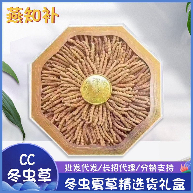 cc冻干虫草冬虫夏草东阳光研究所