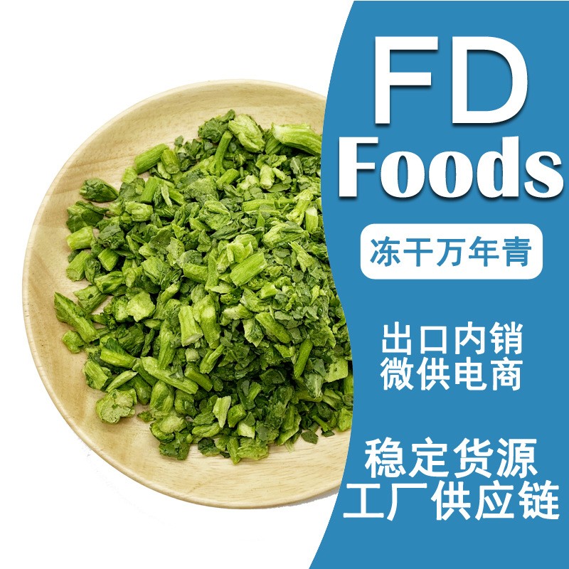 冻干万年青FD万年青冻干菜心冻干万年青菜心冻干青菜脱水冻干蔬菜